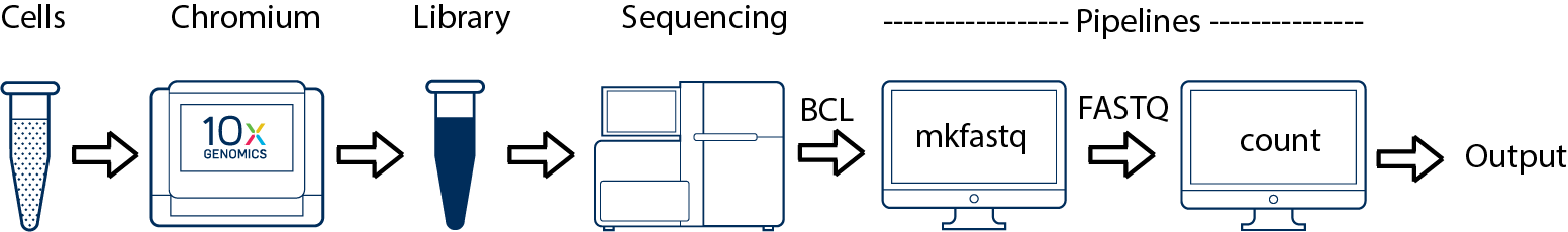 cellranger-atac basic