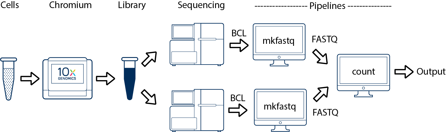 cellranger-atac multiple sequencing runs