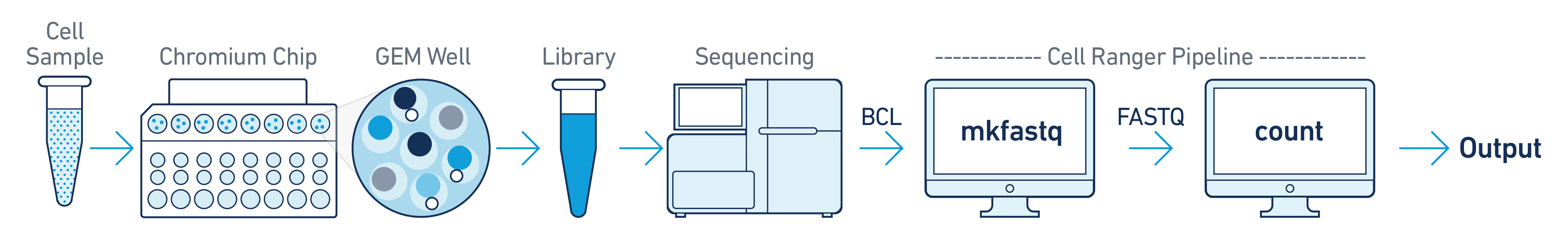 cellranger-atac basic