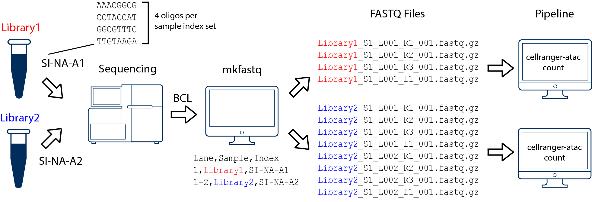 two libraries, one flow cell