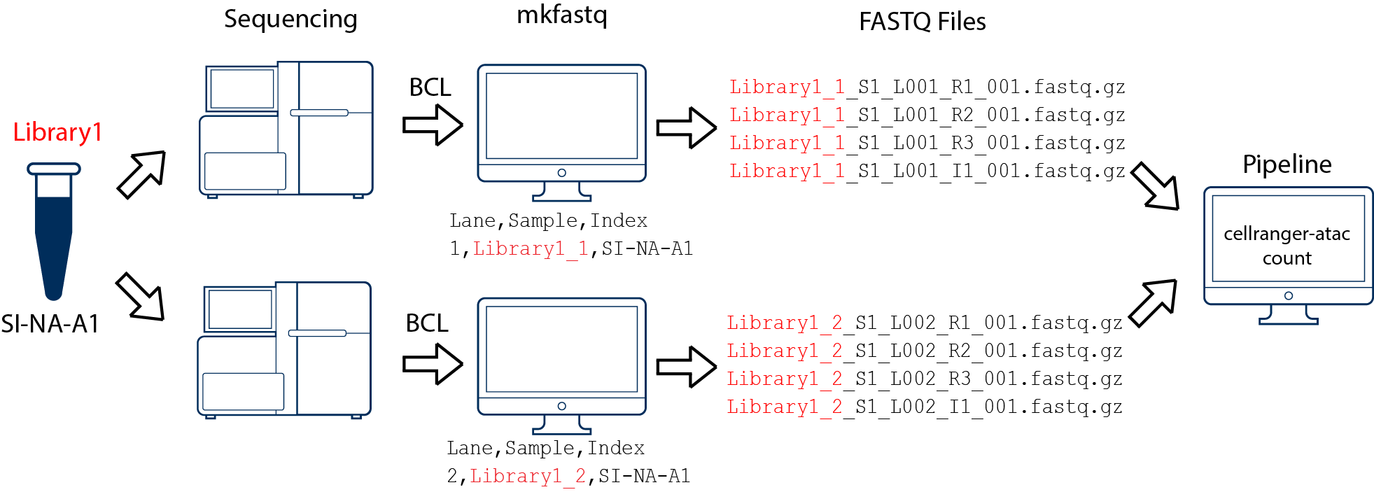 one library, two flow cells