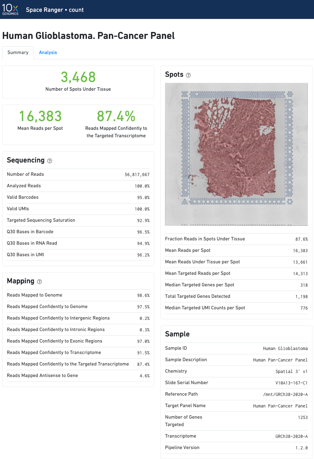 spaceranger web summary