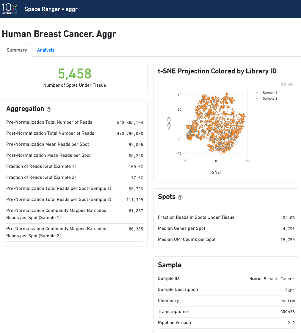 spaceranger web summary